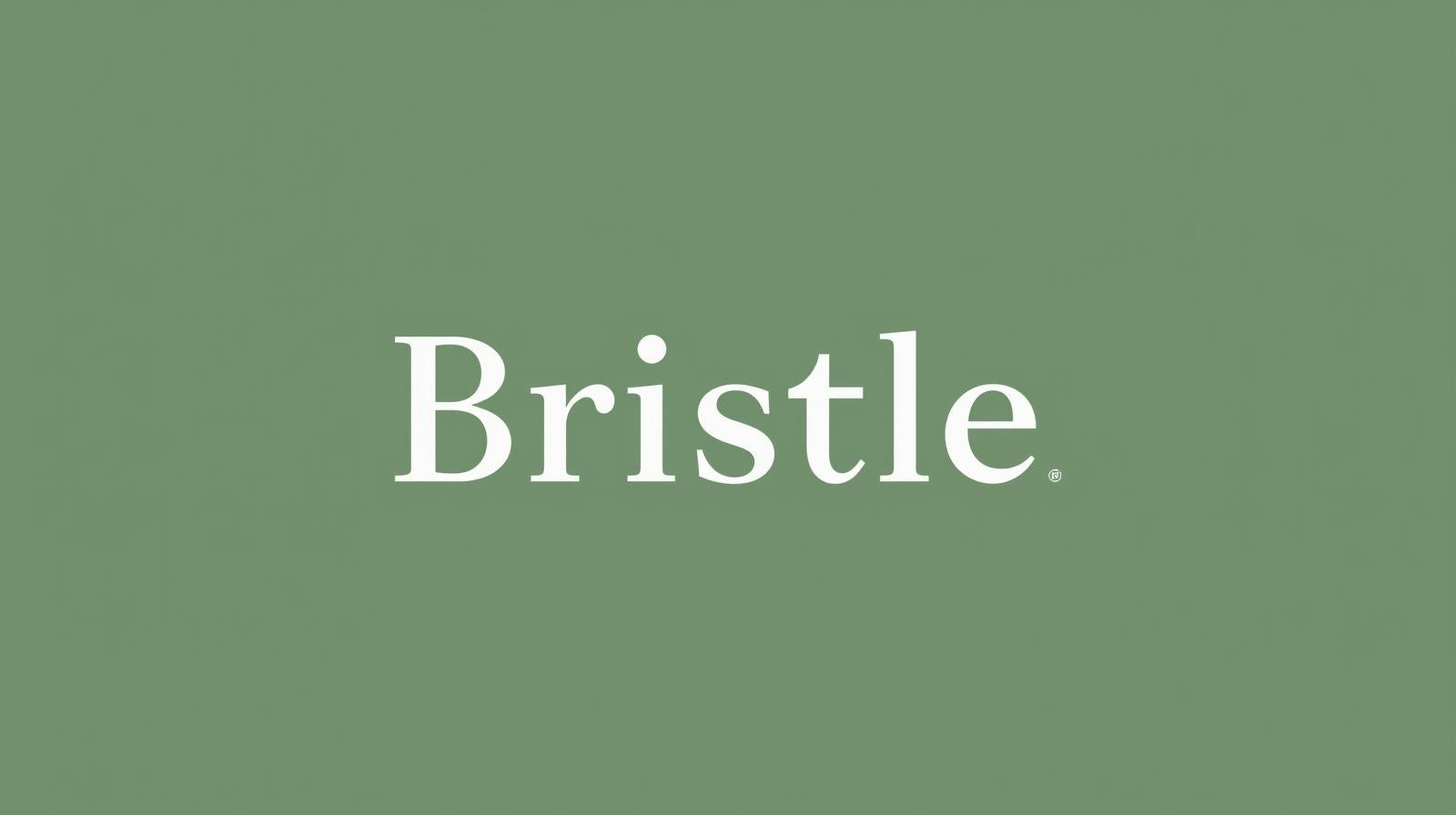 Bristle